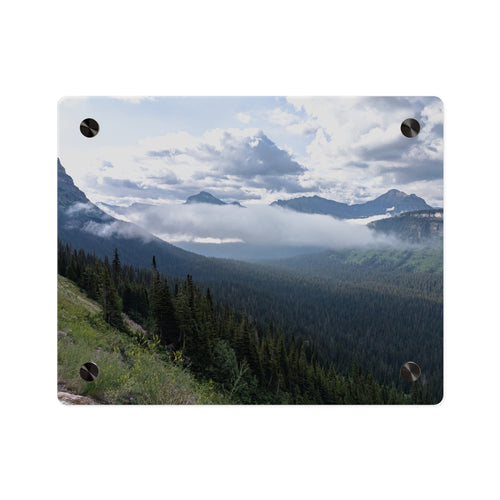 Acrylic Wall Art Panels