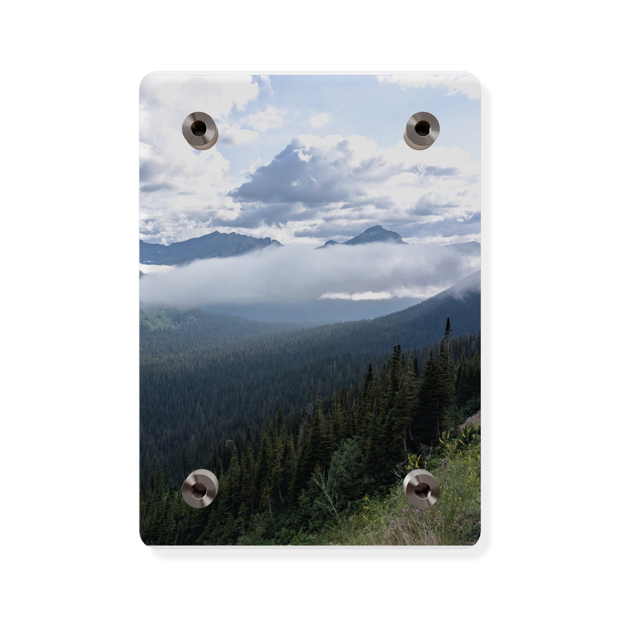 Acrylic Wall Art Panels