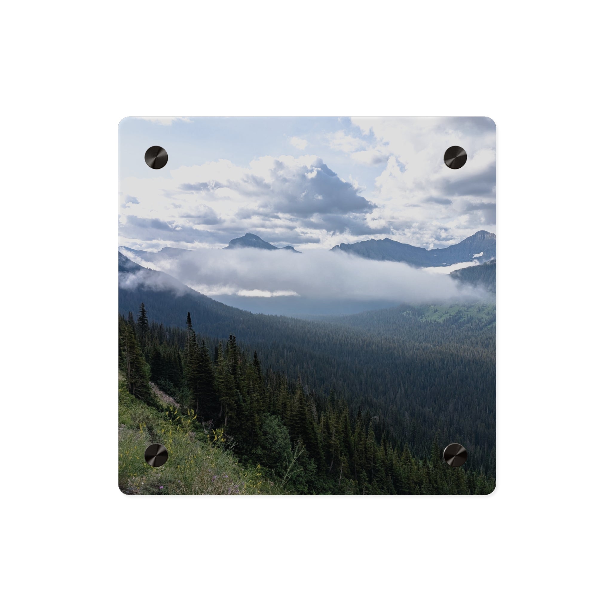 Acrylic Wall Art Panels