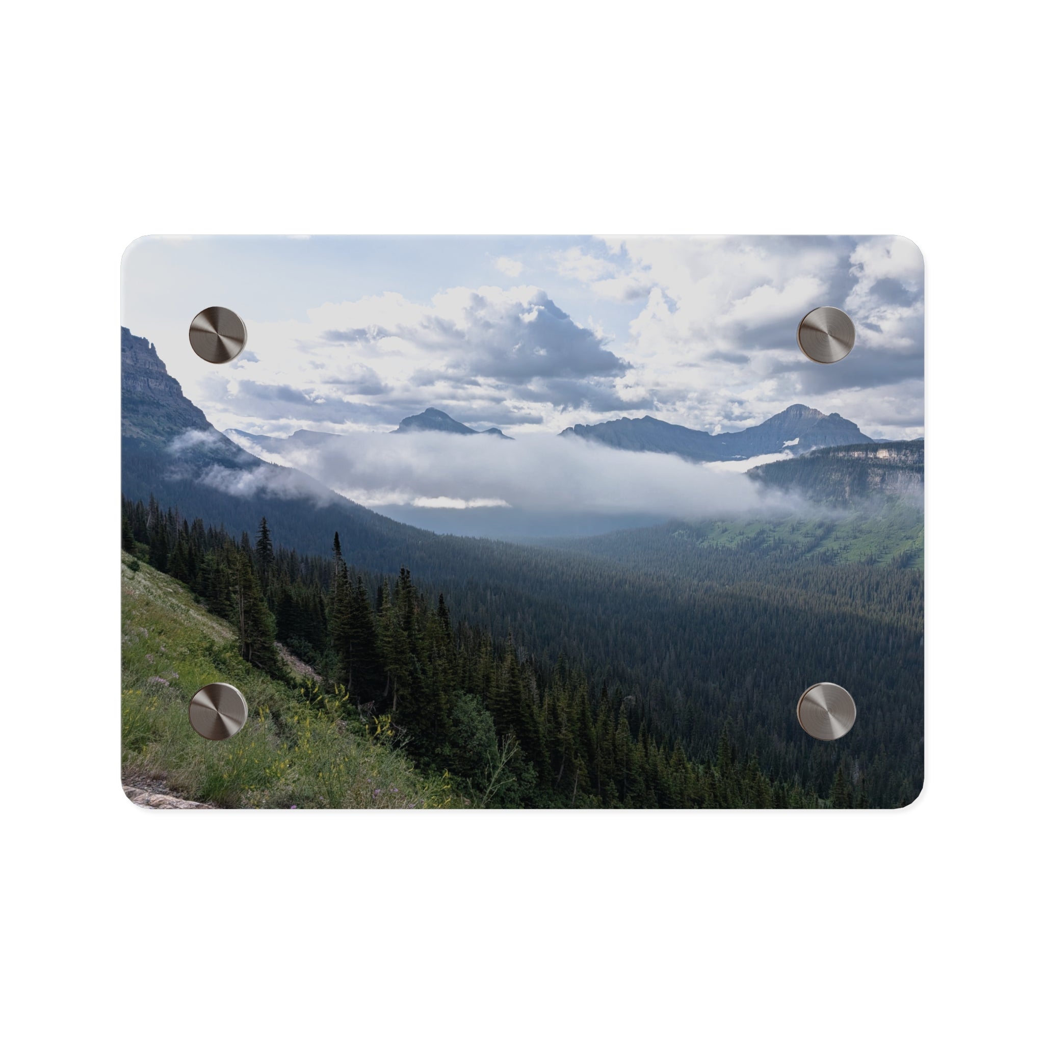 Acrylic Wall Art Panels