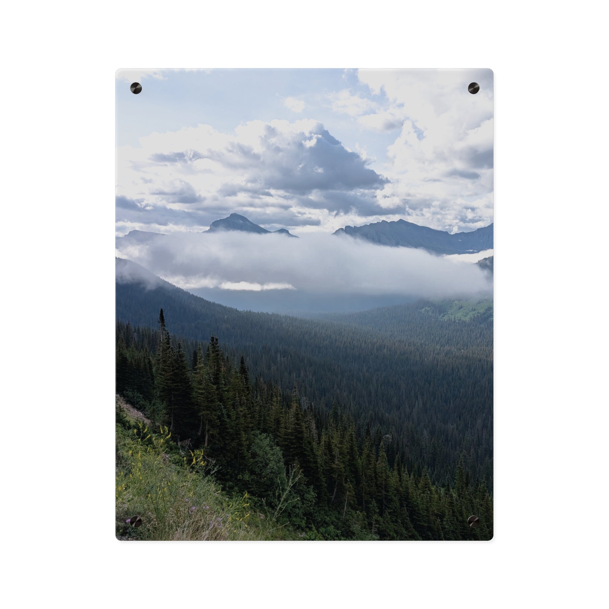 Acrylic Wall Art Panels