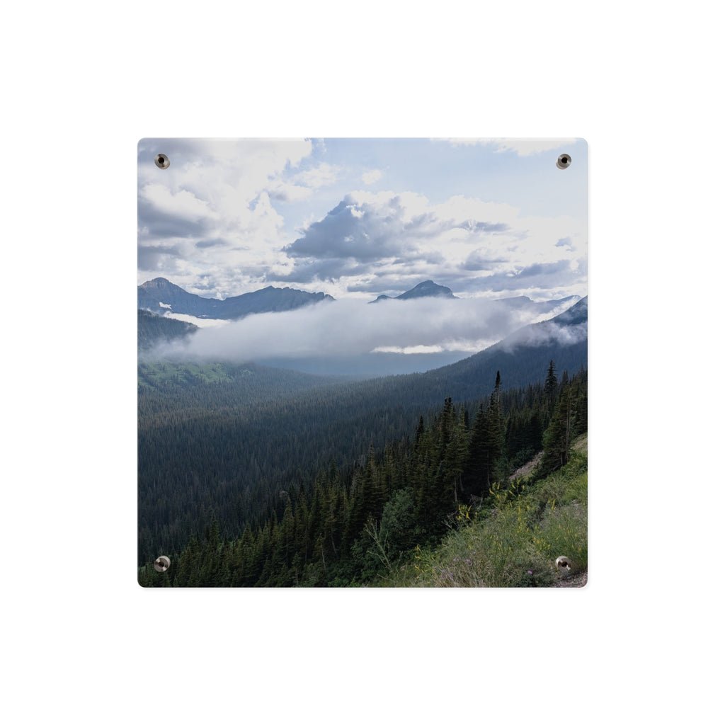 Acrylic Wall Art Panels