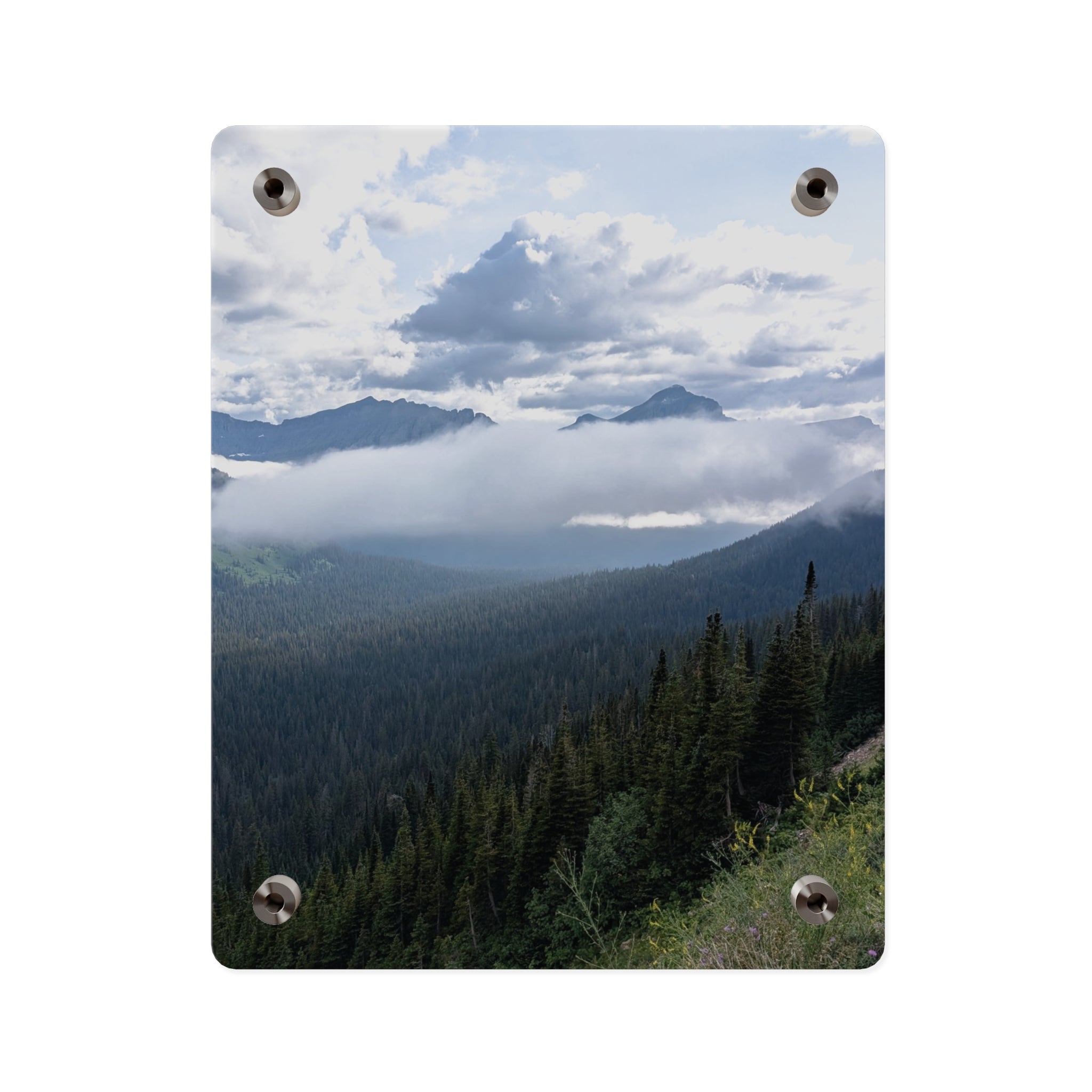 Acrylic Wall Art Panels