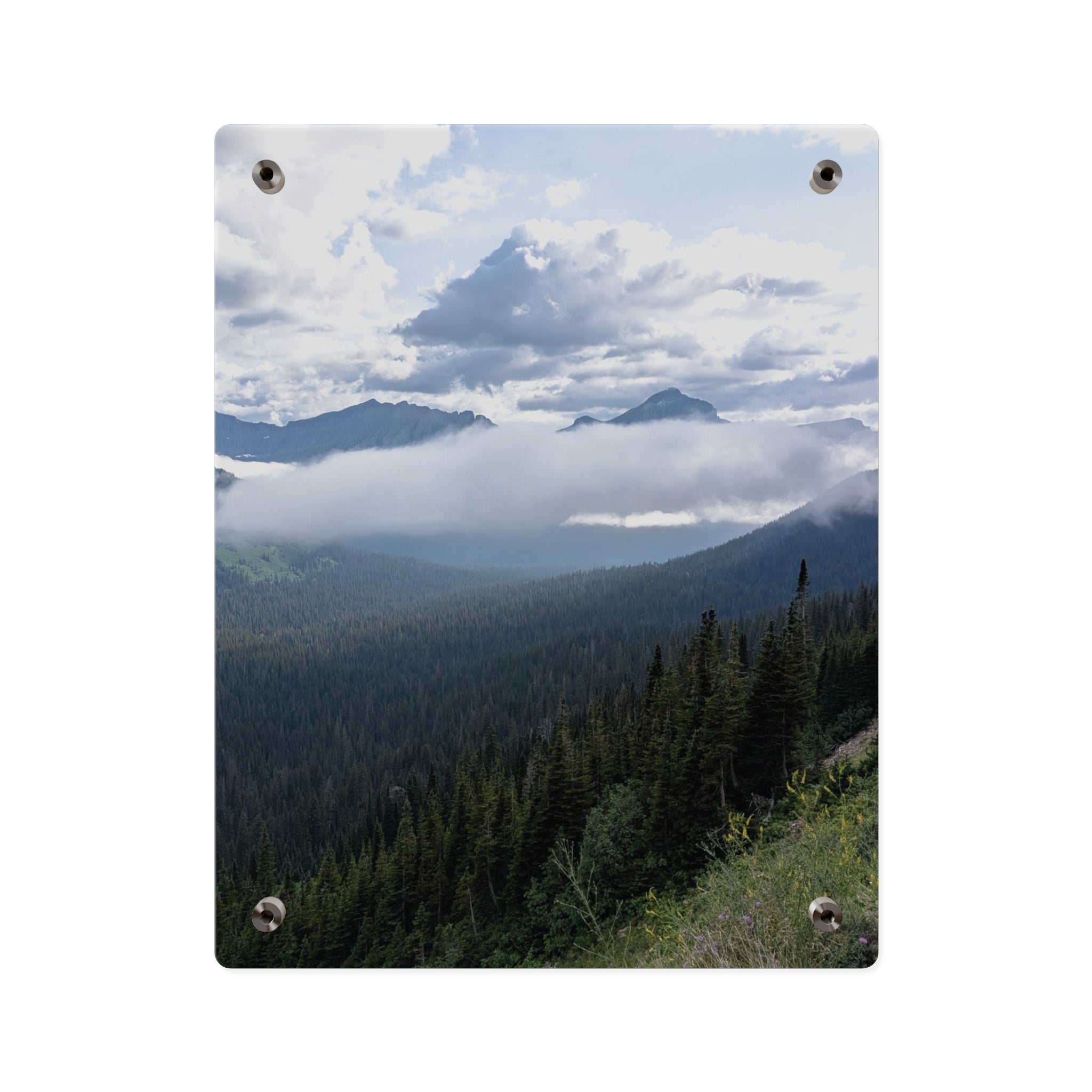Acrylic Wall Art Panels