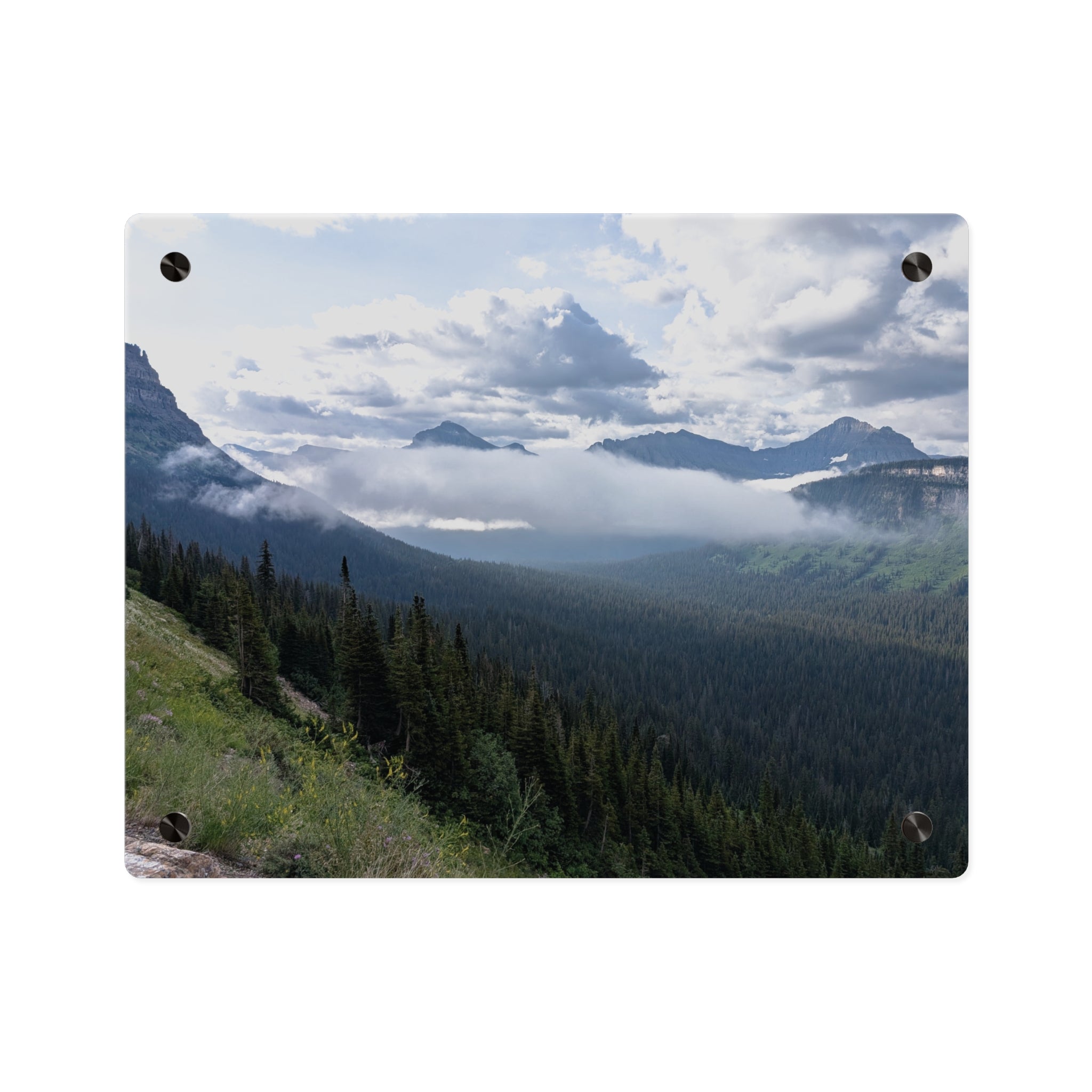Acrylic Wall Art Panels