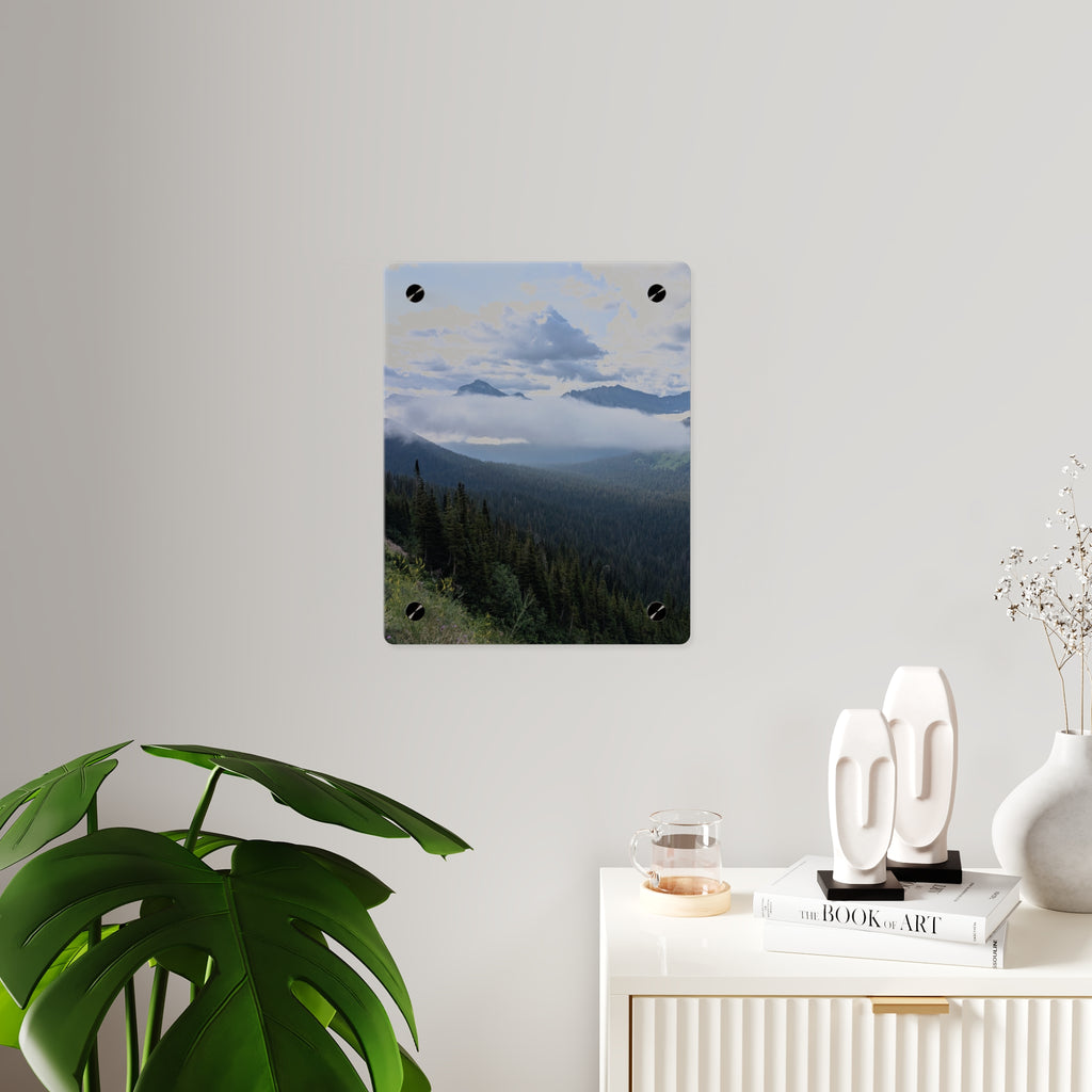 Acrylic Wall Art Panels