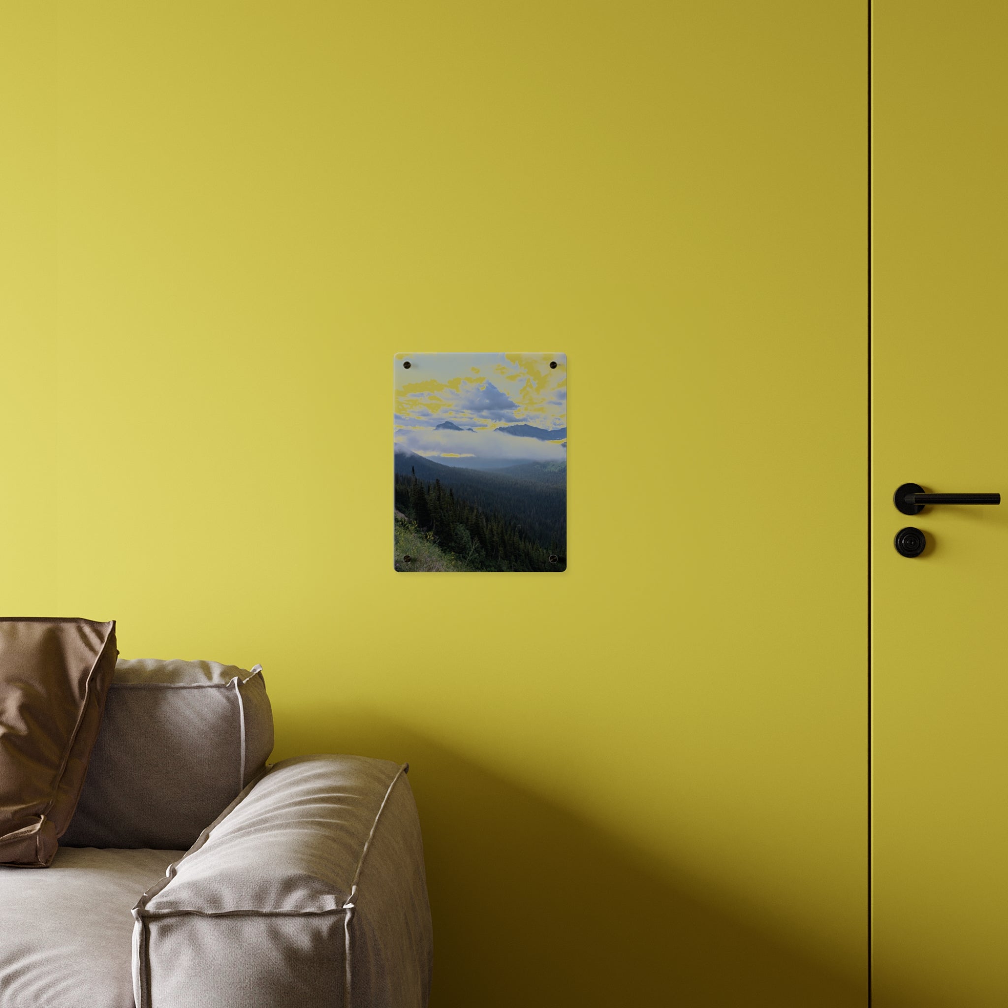 Acrylic Wall Art Panels