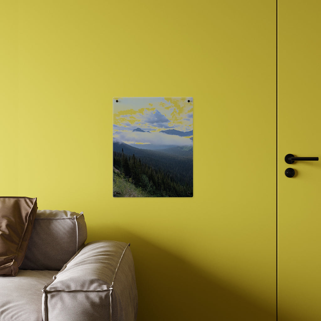 Acrylic Wall Art Panels