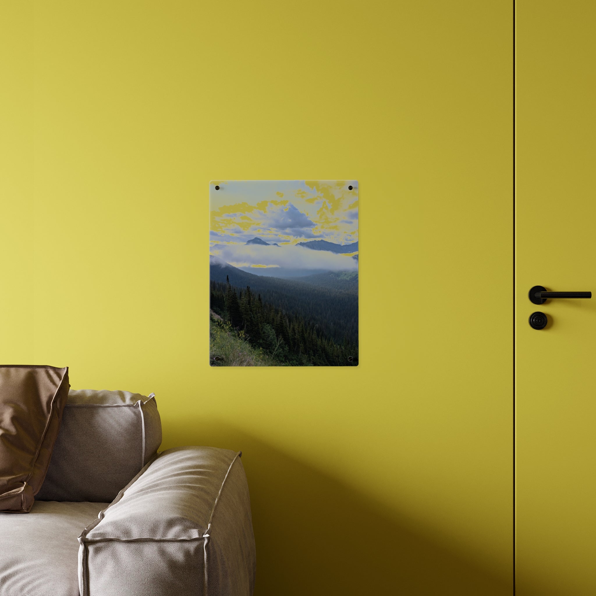 Acrylic Wall Art Panels