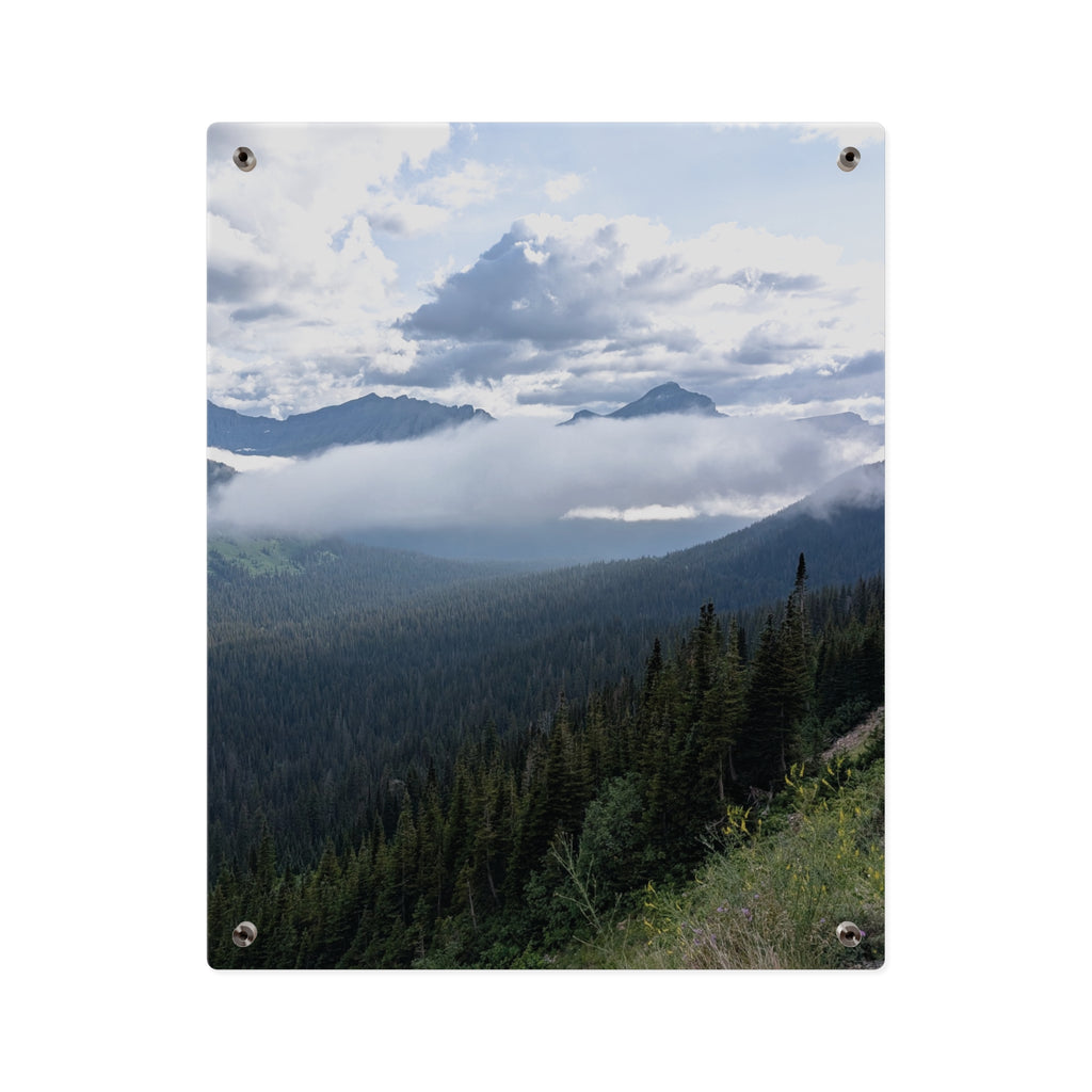 Acrylic Wall Art Panels