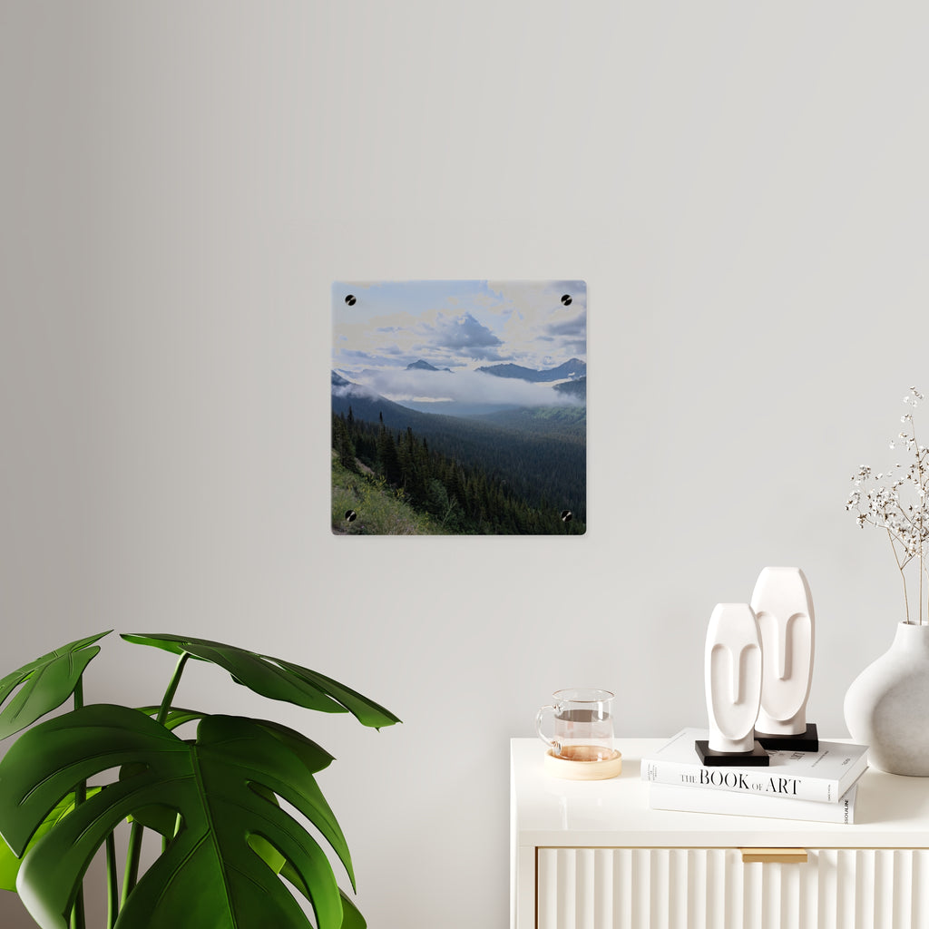 Acrylic Wall Art Panels