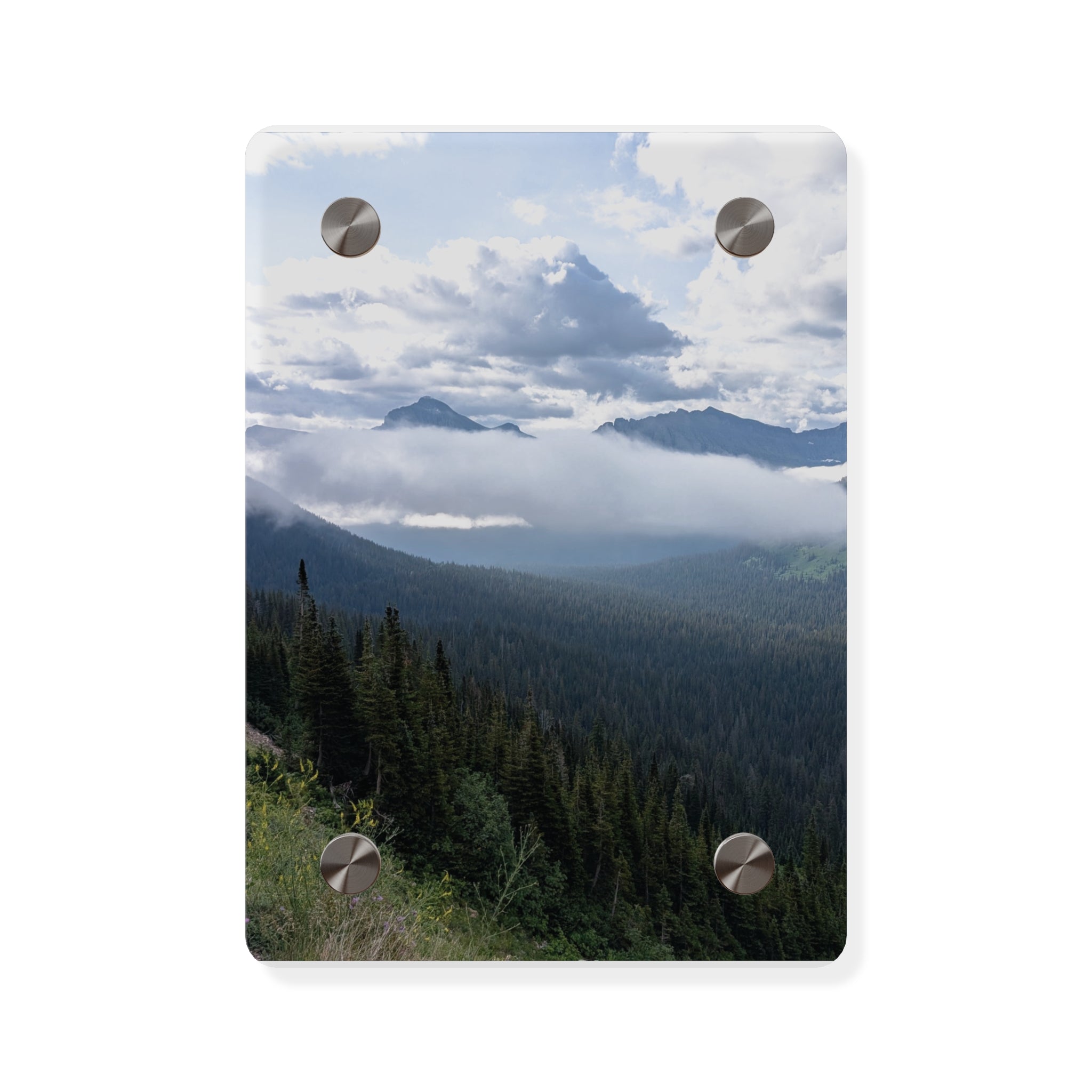 Acrylic Wall Art Panels