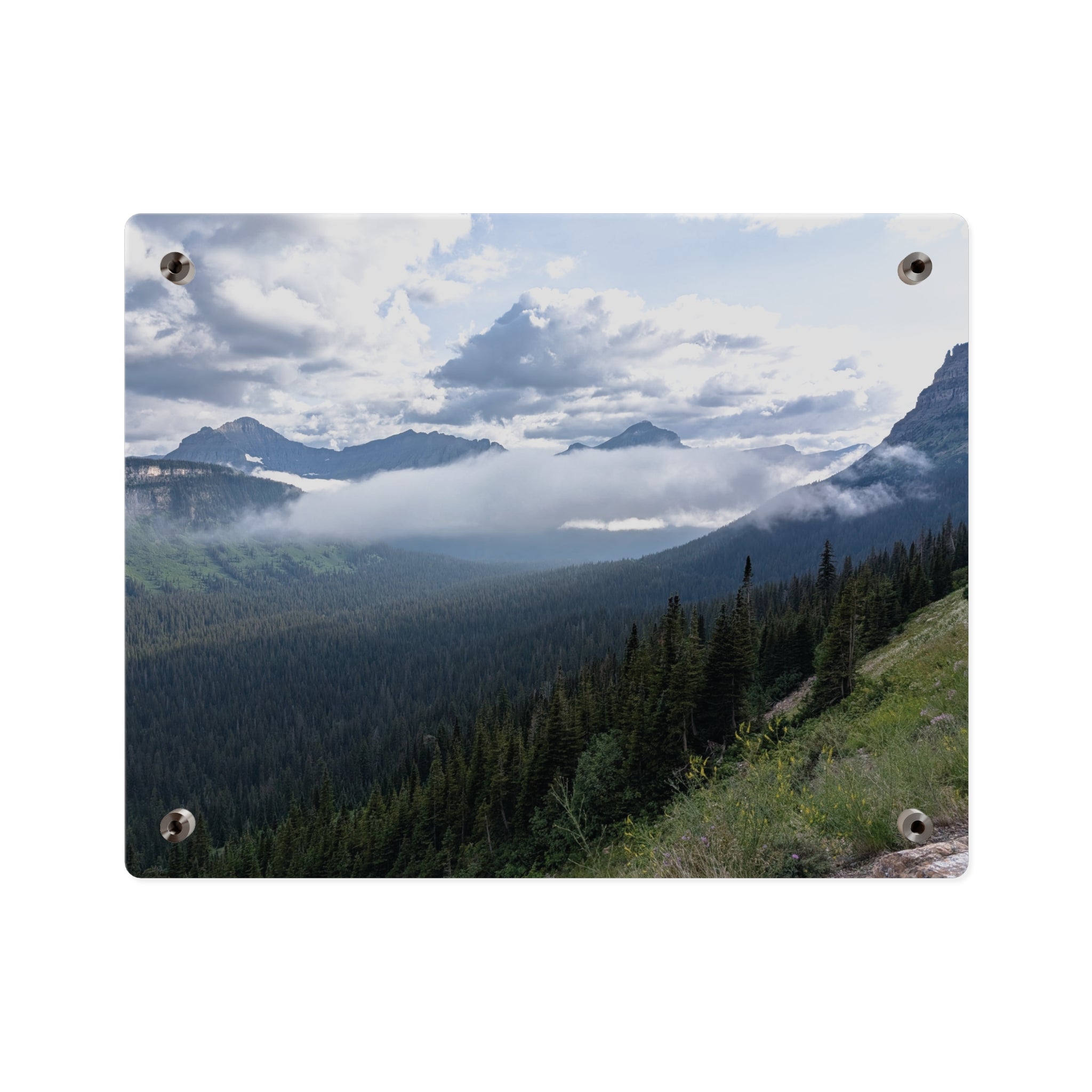 Acrylic Wall Art Panels