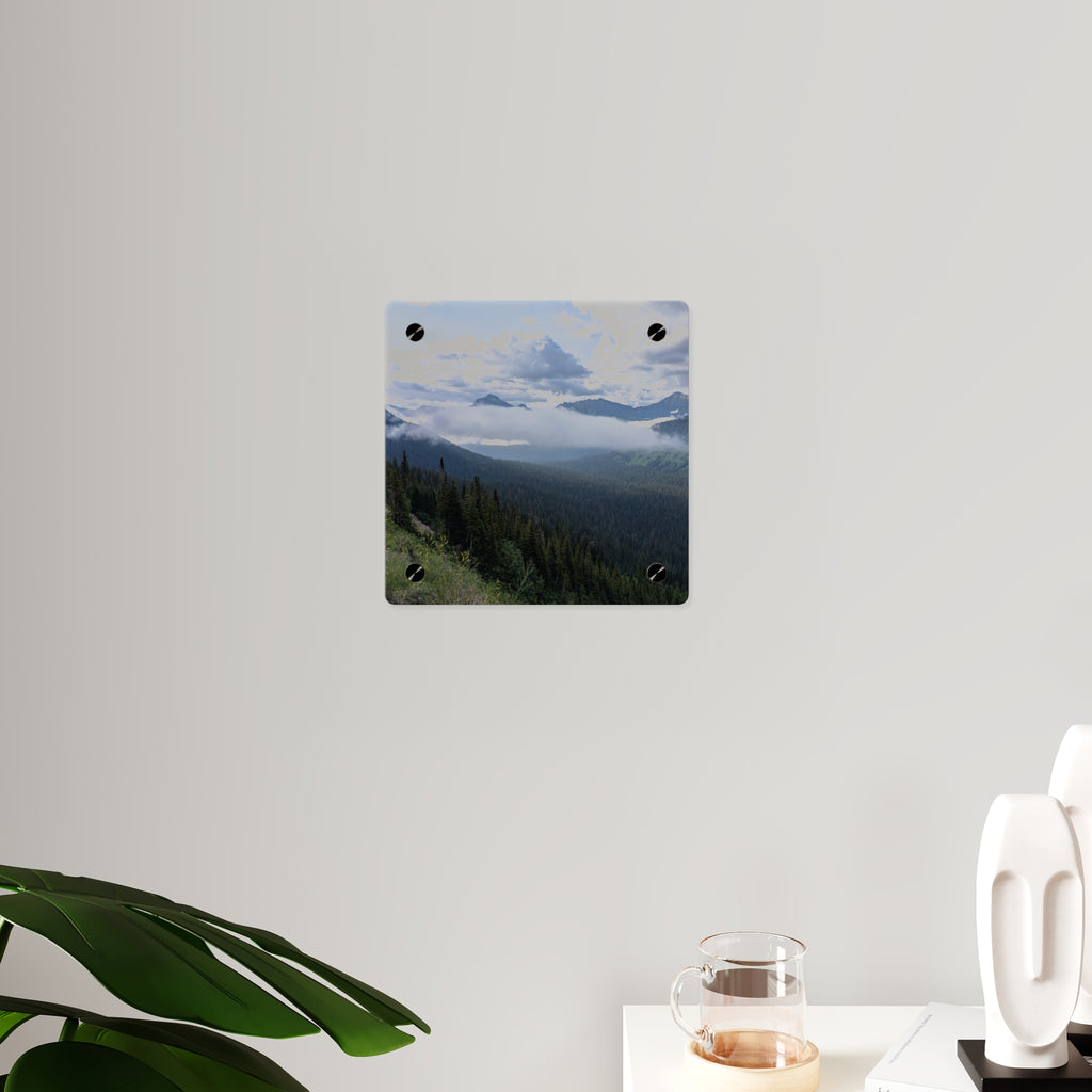 Acrylic Wall Art Panels