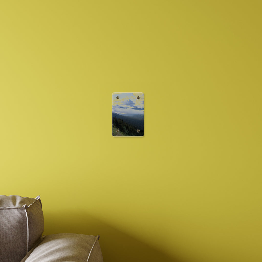 Acrylic Wall Art Panels