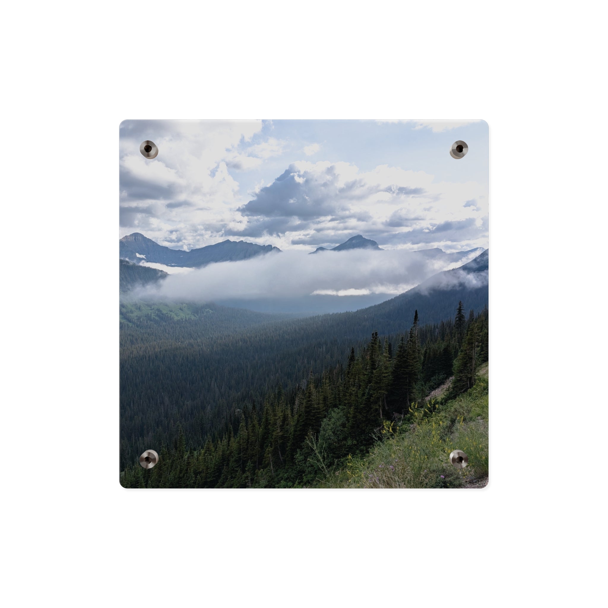Acrylic Wall Art Panels