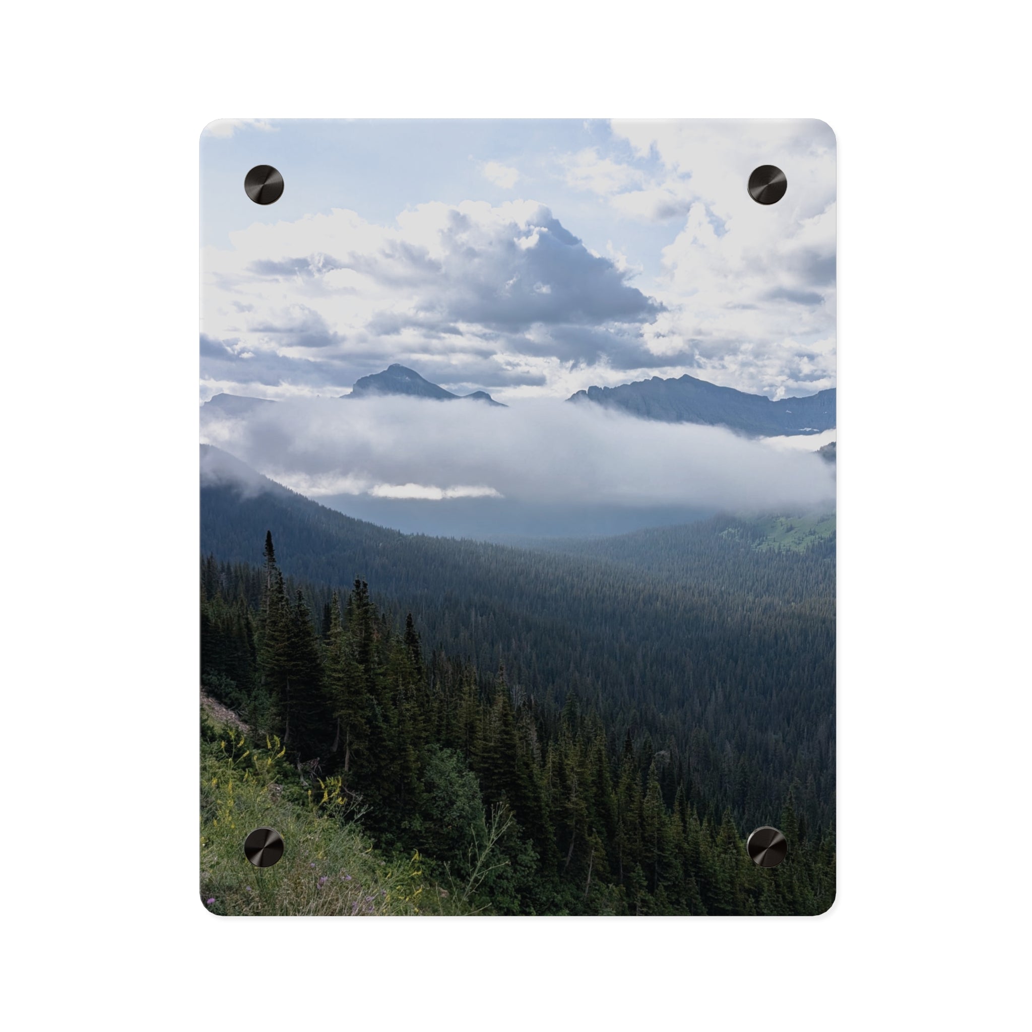 Acrylic Wall Art Panels