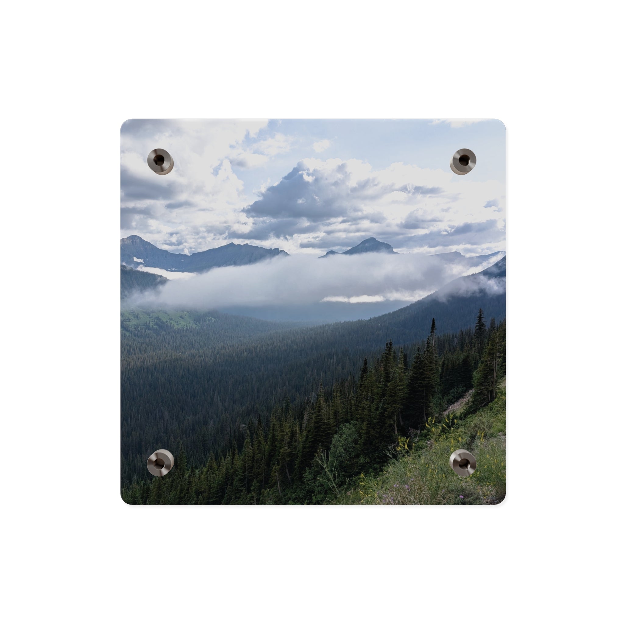 Acrylic Wall Art Panels