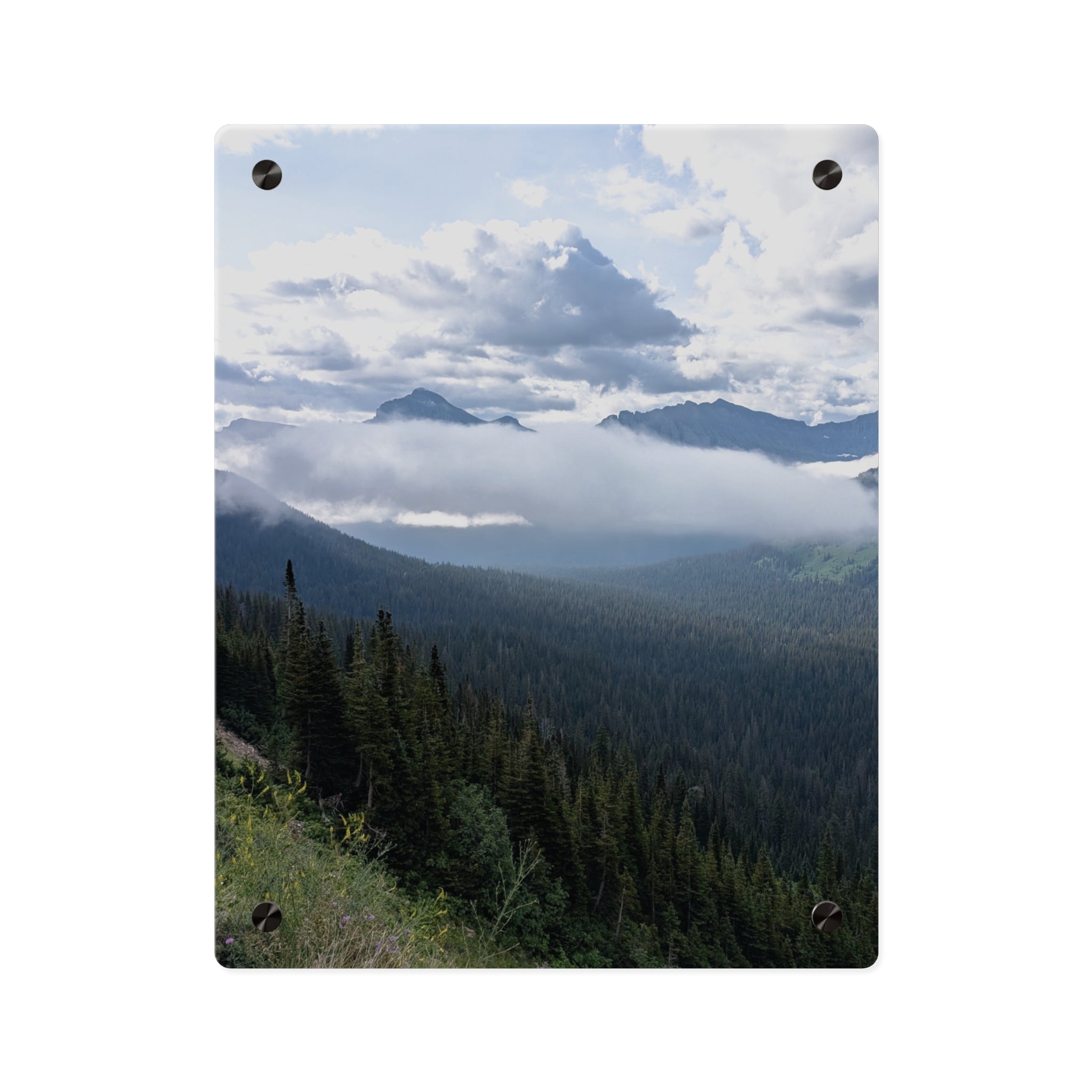 Acrylic Wall Art Panels