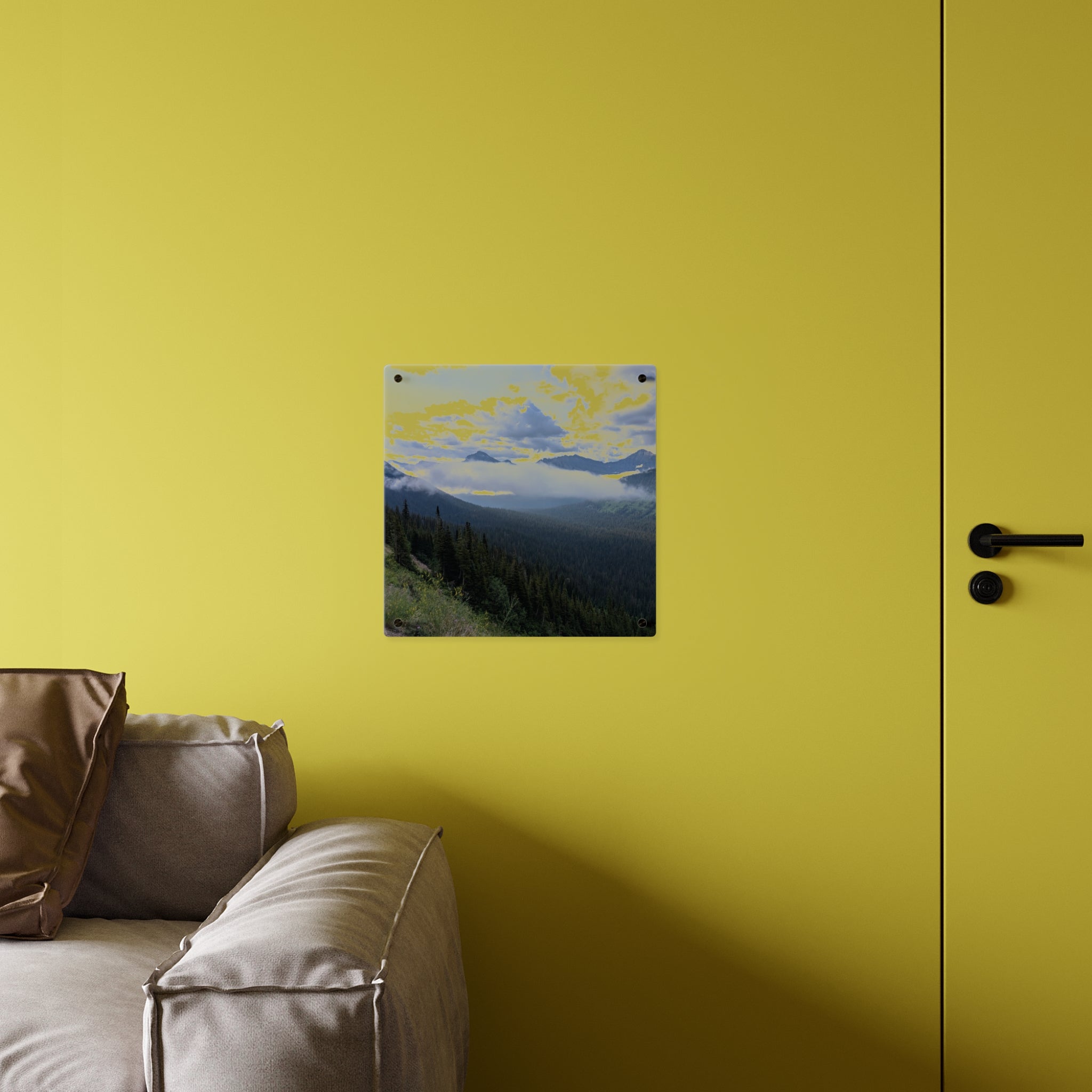 Acrylic Wall Art Panels