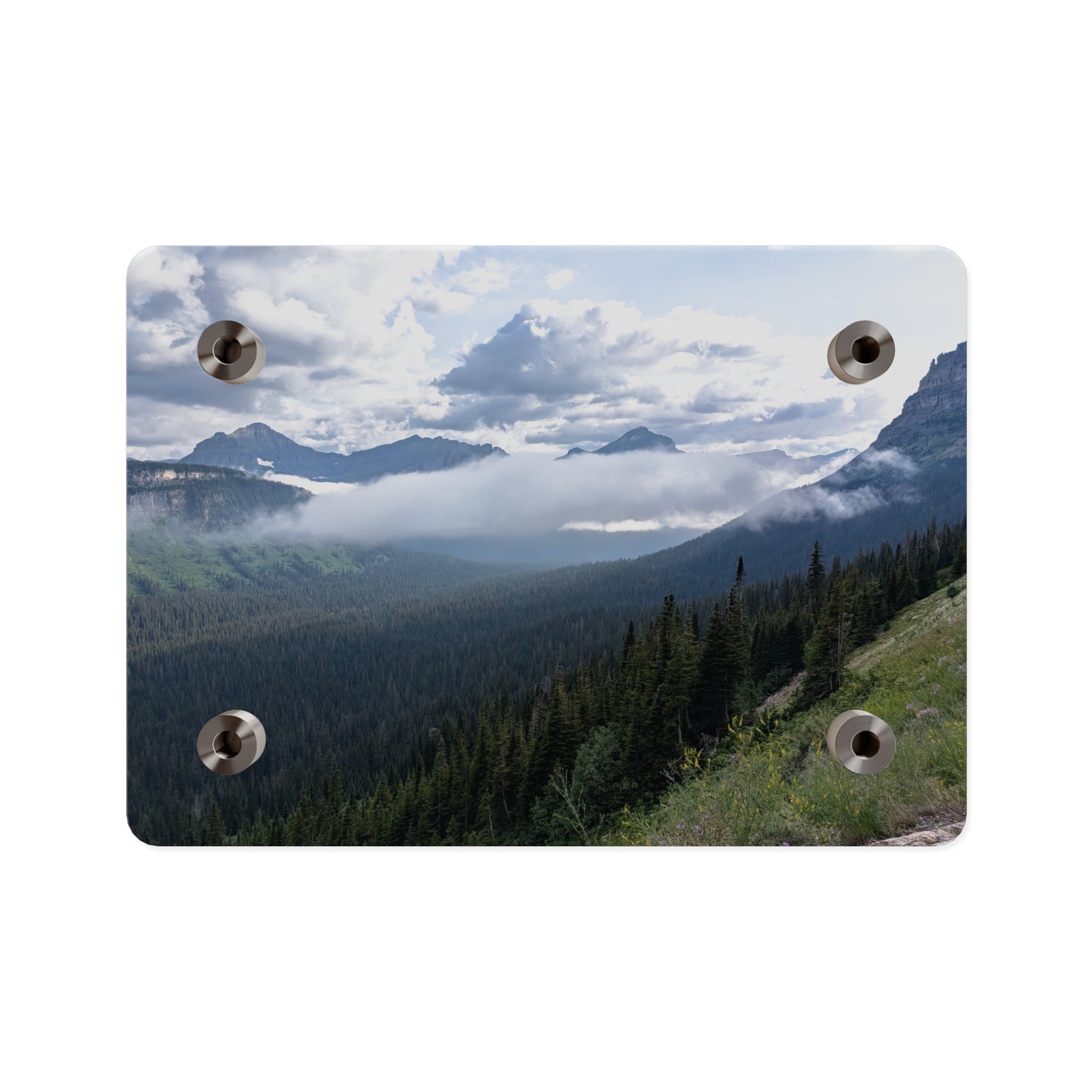 Acrylic Wall Art Panels