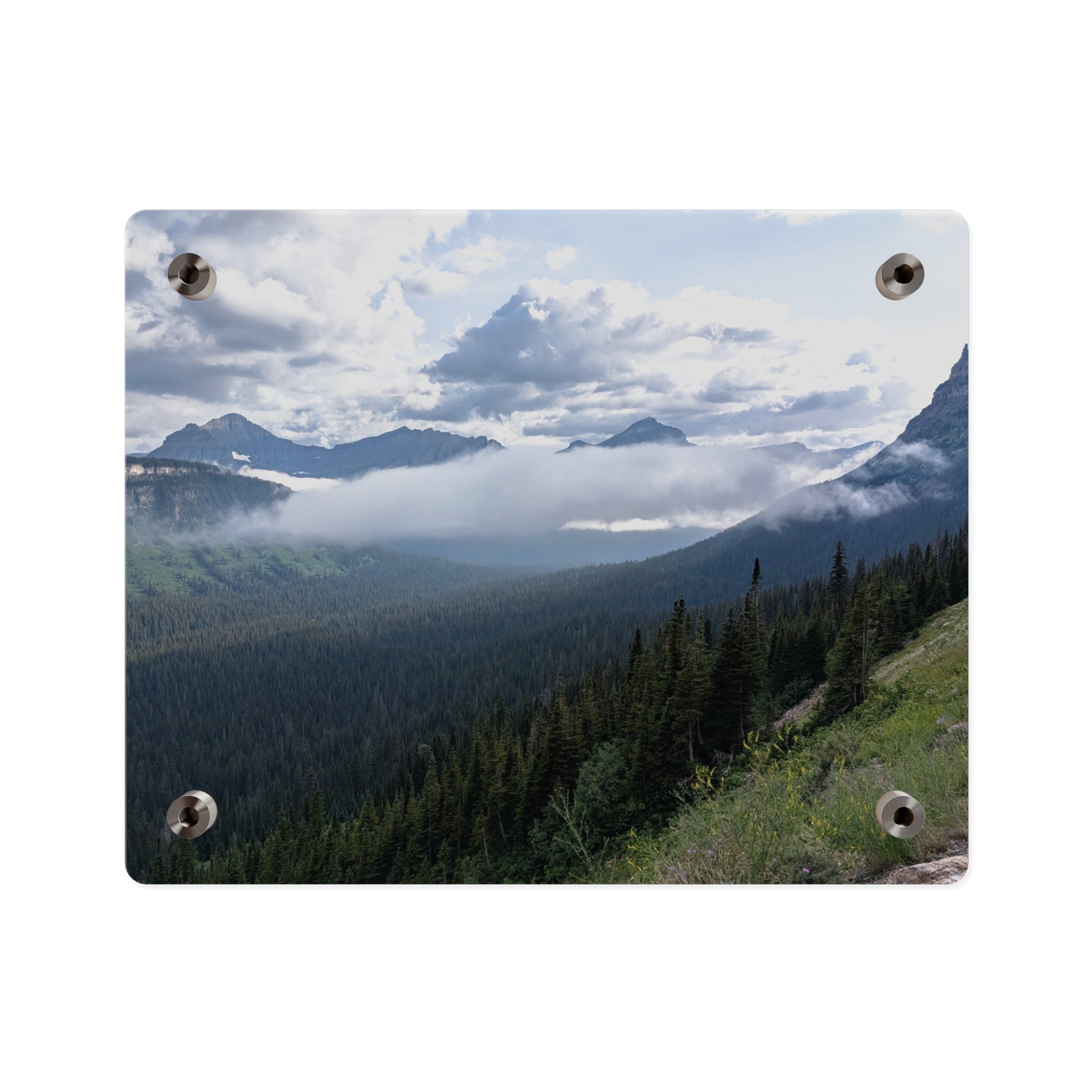 Acrylic Wall Art Panels