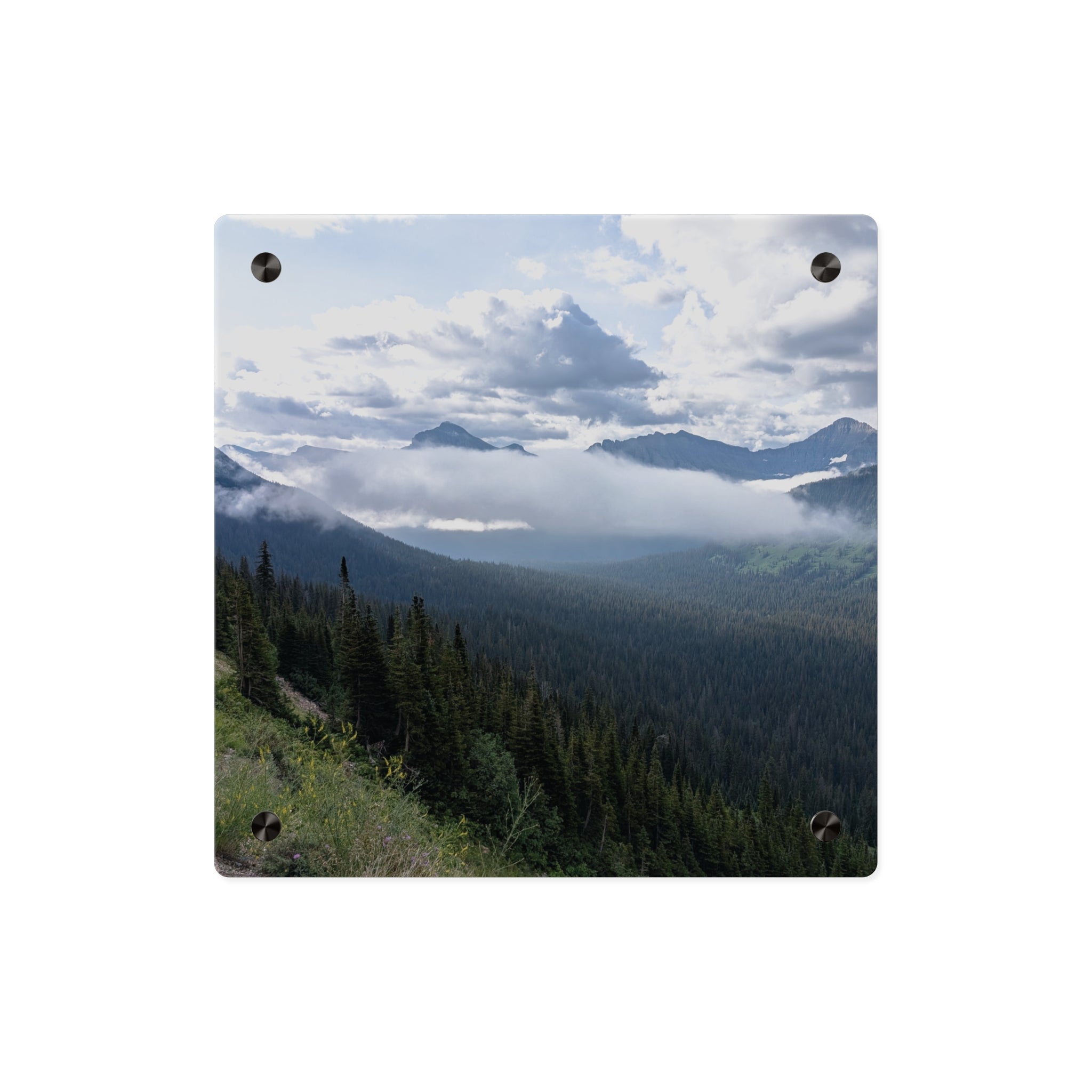 Acrylic Wall Art Panels