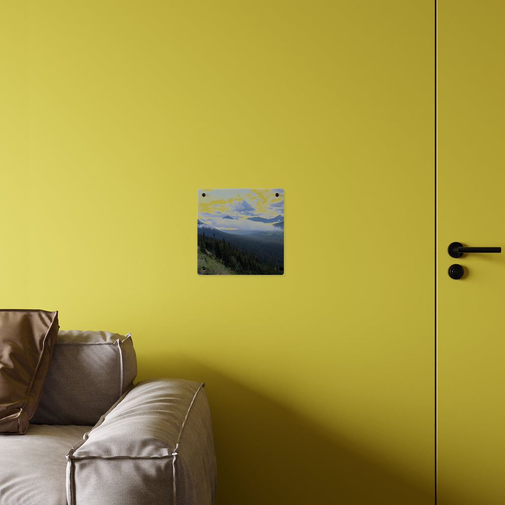 Acrylic Wall Art Panels