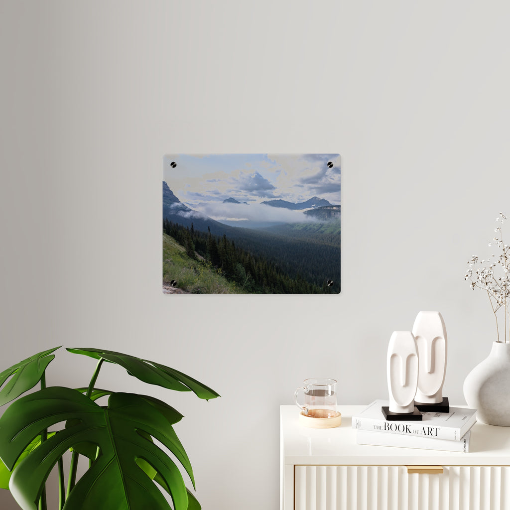 Acrylic Wall Art Panels